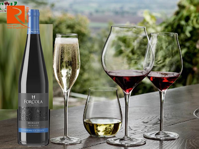 Vang Ý Forcola Merlot Veneto Cantina La Salute