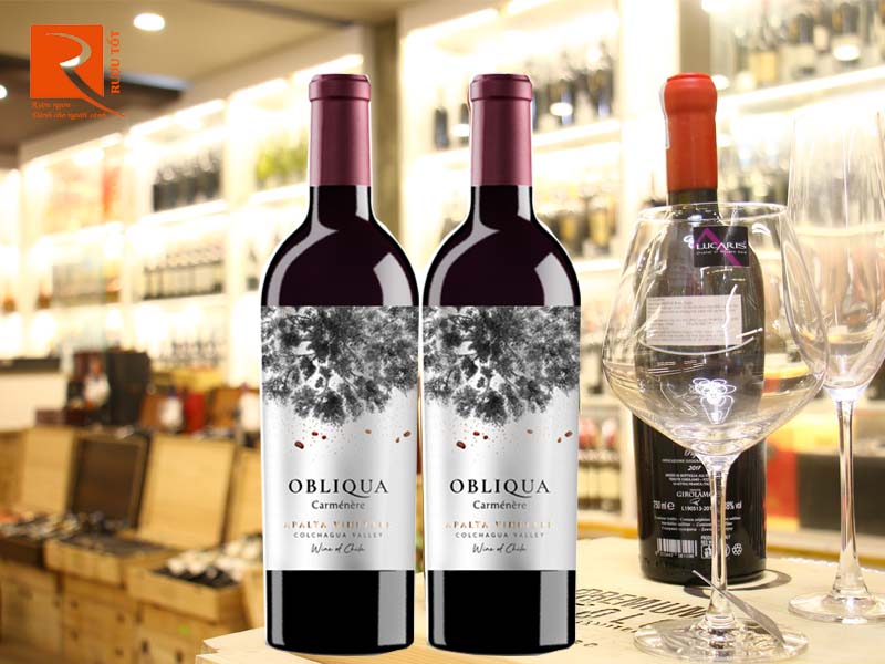 Rượu vang Chile Obliqua Limited Edition Carmenere Colchagua Valley