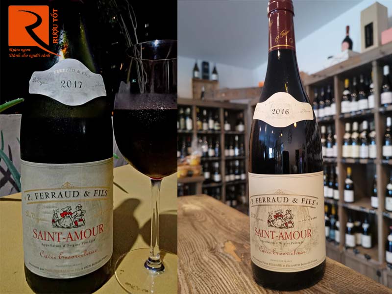 Vang Pháp Saint Aour Cuvee Ensorceleuse AOP