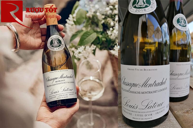 Rượu Vang Chassagne Montrachet Louis Latour
