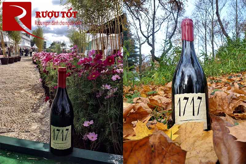 Rượu 1717 Maison Arnoux & Fils Vacqueyras