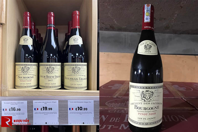 Vang Pháp Bourgogne Pinot Noir Louis Jadot Couvent des Jacobins
