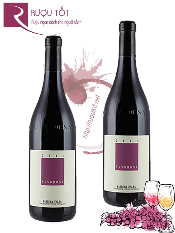 Vang Ý Sandrone Dolcetto DAlba DOC Cao cấp