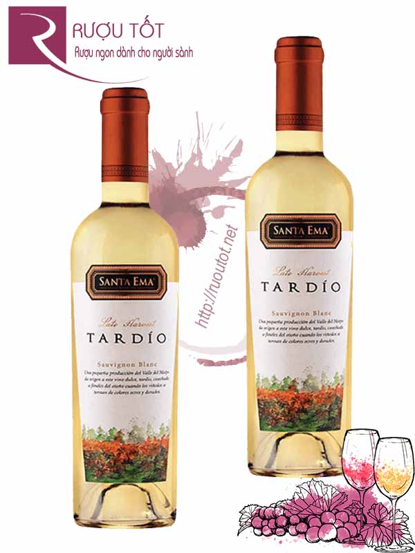 Rượu Vang Tardio Santa Ema Late Harvest Sauvignon Blanc Giá Tốt
