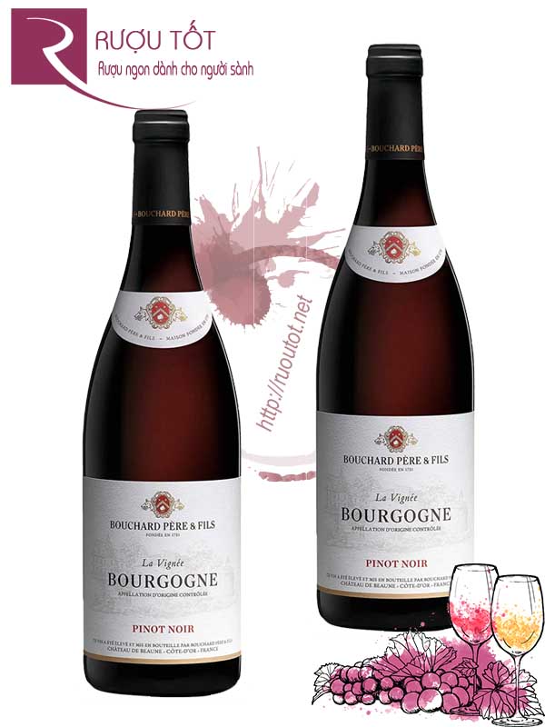 Vang Pháp Bourgogne Pinot Noir La Vignee Bouchard Pere et Fils