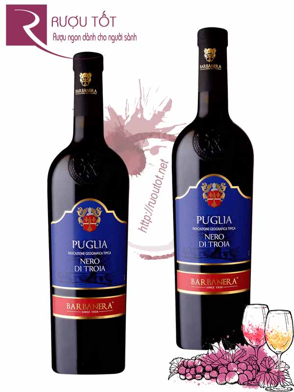 Rượu Vang Barbanera Nero di Troia Puglia Chính Hãng