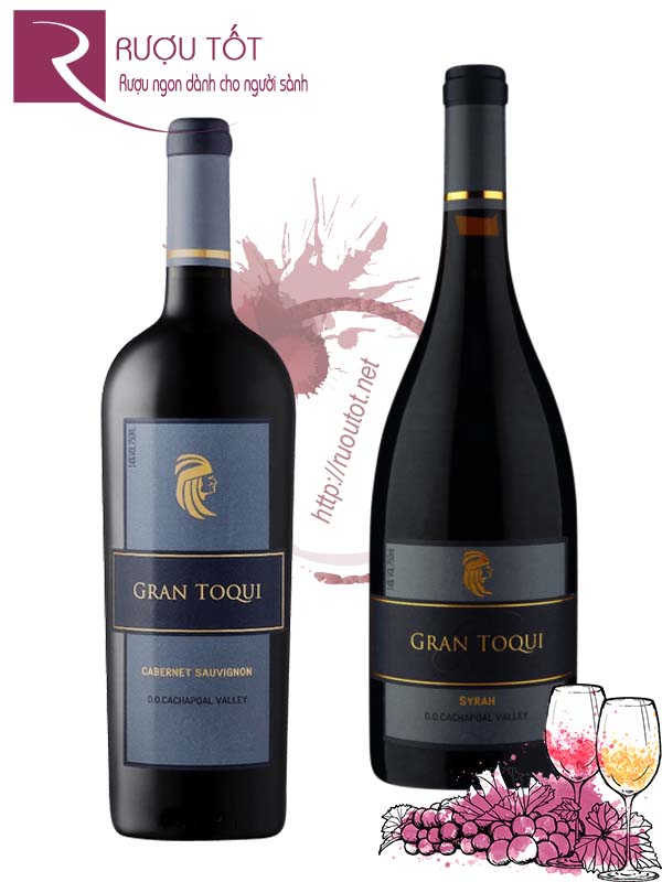 Rượu Vang Grand Toqui Cabernet Sauvignon Syrah Cao Cấp