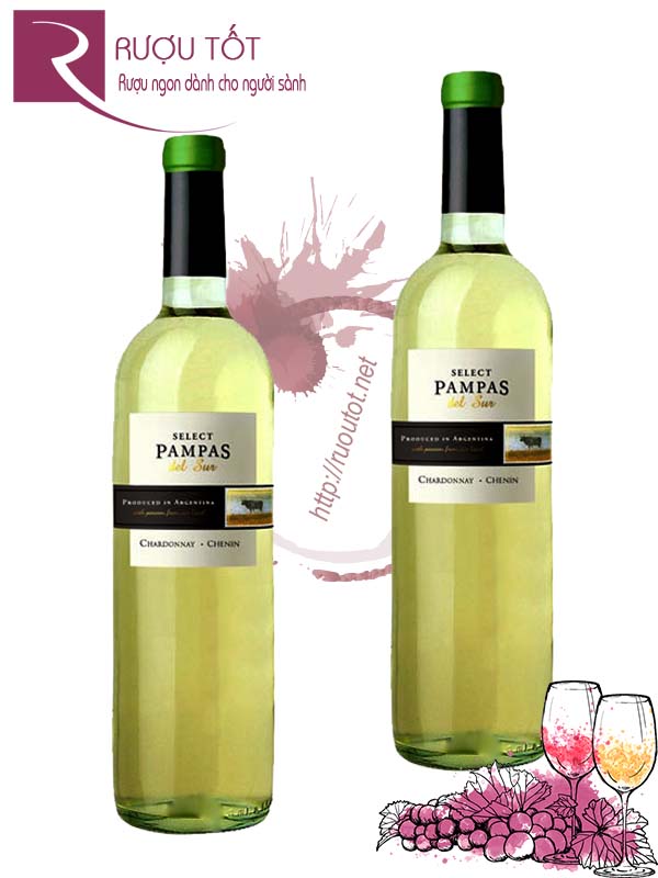 Rượu vang Pampas Del Sur Select Chardonnay Chenin Cao cấp