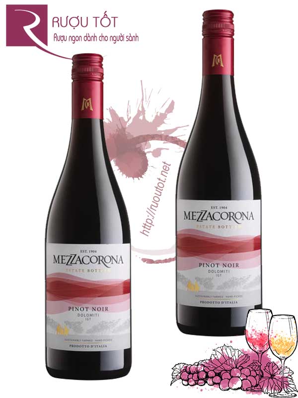 Vang Ý Mezzacorona Pinot Noir Dolomiti IGT Cao cấp