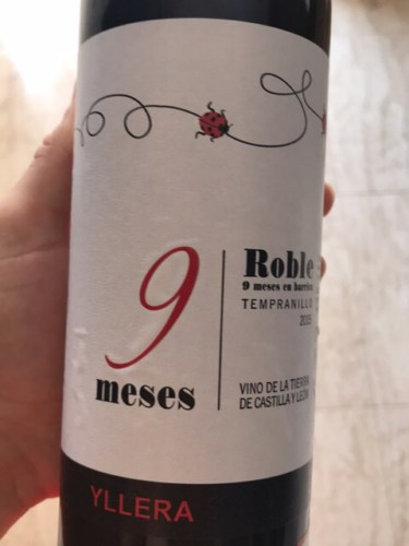 Rượu vang 9 Meses Yllera Tempranillo