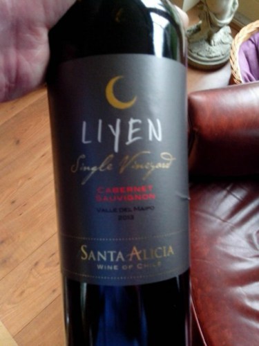 Rượu vang Santa Alicia LiYen Cabernet Sauvignon