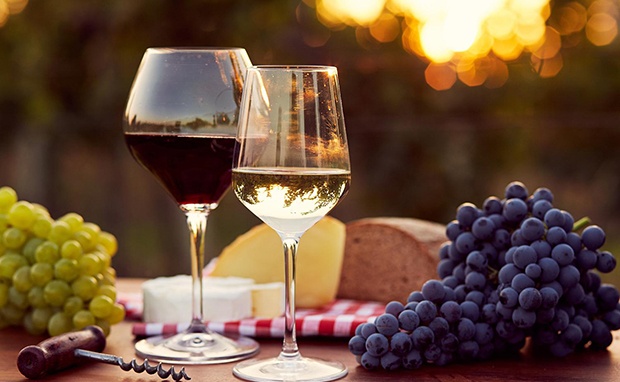Vang Chile 1887 Reserva Sauvignon (Đỏ - Trắng) Vang Chile 1887 Reserva Sauvignon (Đỏ - Trắng)