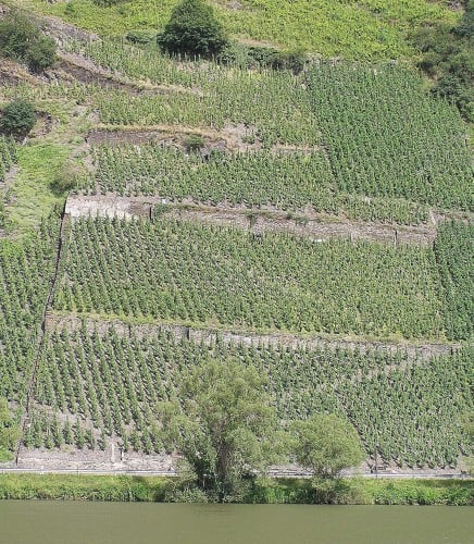 Vang Đức Ulrich Langguth Riesling Traben Gaispfad Vang Đức Ulrich Langguth Riesling Traben Gaispfad