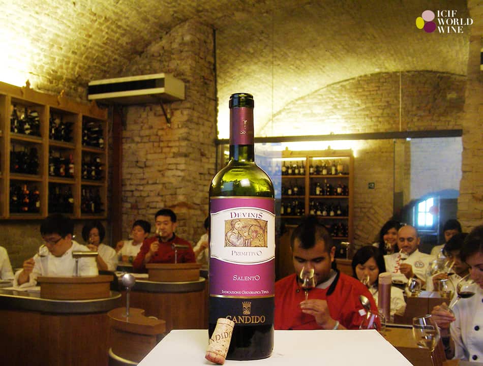 Vang Ý Candido Devins Primitivo Vang Ý Candido Devins Primitivo