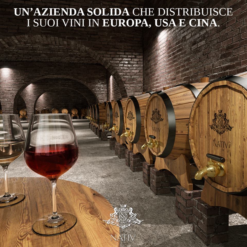 Vang Ý Rue 333 Taurasi Riserva Nativ Vang Ý Rue 333 Taurasi Riserva Nativ